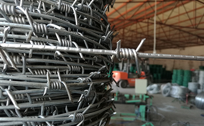 單股刺繩 單股刺繩