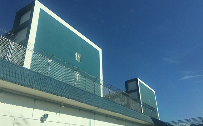 焊接型刺繩護(hù)欄網(wǎng)案例