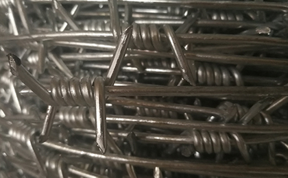 單股刺繩 單股刺繩