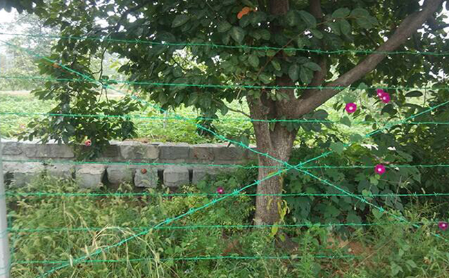 刺繩護(hù)欄網(wǎng)案例